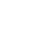 Kletterhelm Icon weiss